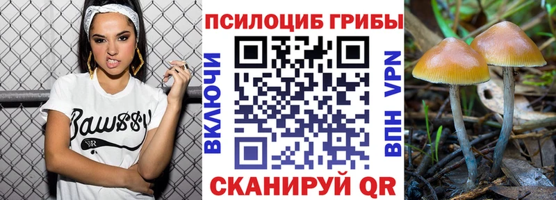 Галлюциногенные грибы мухоморы  Советск 